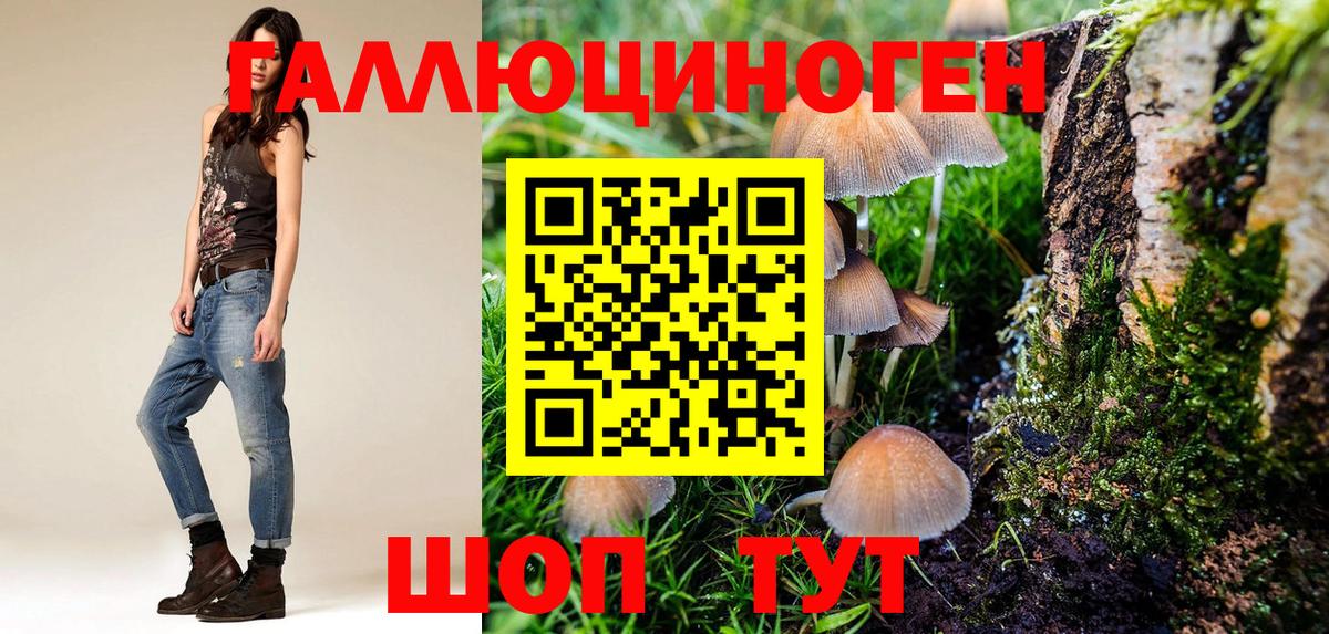 Северодвинск  Псилоцибиновые грибы MAGIC MUSHROOMS  Вход с VPN 