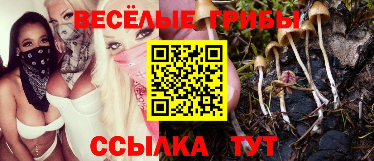 Псилоцибиновые грибы прущие грибы Северодвинск